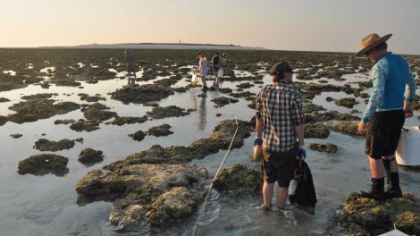 Two scientists performing a survey of reef flats in the Kimberley